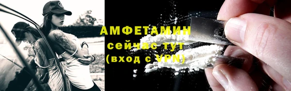 эйфоретик Пересвет