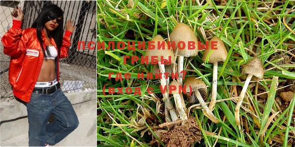 эйфоретик Пересвет