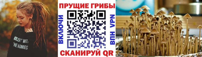 Псилоцибиновые грибы ЛСД  наркотики  блэк спрут сайт  Кыштым 
